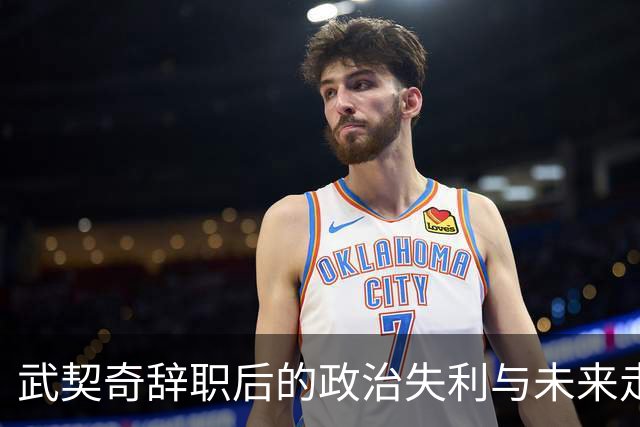 武契奇辞职后的政治失利与未来走向分析